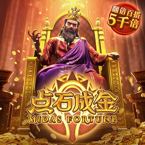 aa视频2025最新版